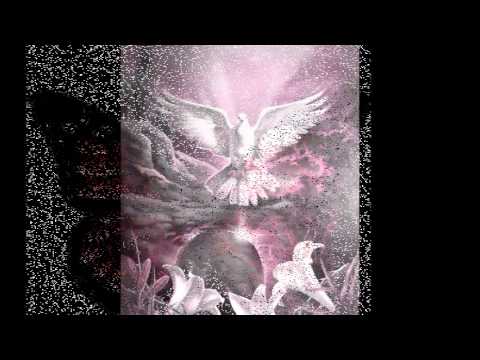 Amadora - Asher (Denis Quinn).wmv