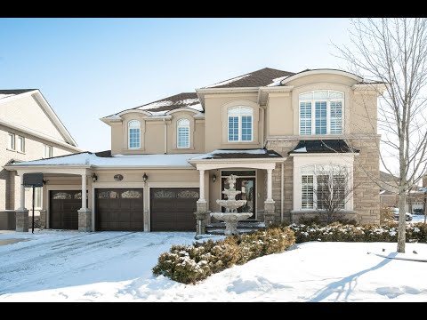 5 Highvalley Circle Brampton, Team Sukhvinder