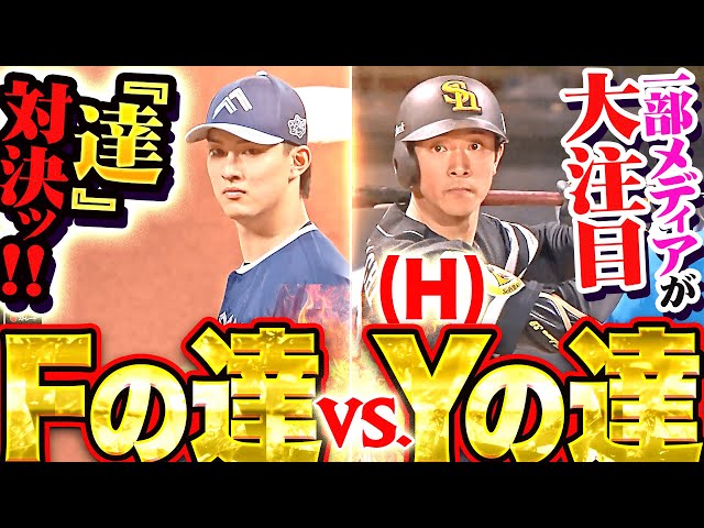 【タツタツル】一部メディアが注目『Fの達 vs.Yの達（H）』【タツルタツ】