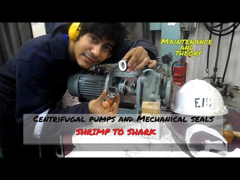 Centrifugal Pumps and Mechanical Seals - Maintenance and Theory