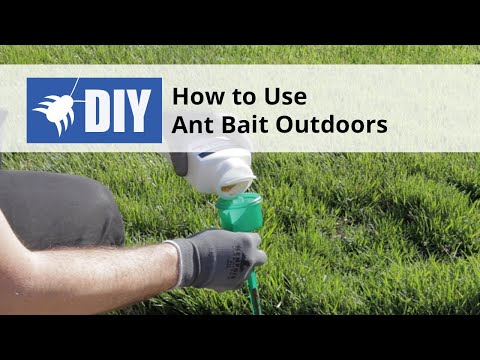  How to Use Ant Bait Outdoors Video 