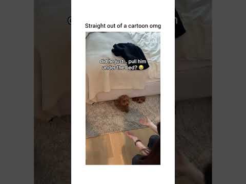 He seems to having the time of this life