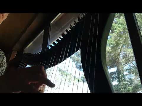 Harp 30 strings, antique. ready to play - Image 2