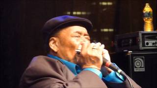 After Hours James Cotton @ Riverfront Blues Festival August 5 2011