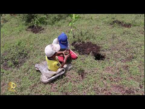 FEISA in Mexico. October 20, 2020.