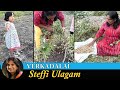 Story Of The Peanut Plant How To Grow Peanuts At Home In Tamil Groundnut Growing And Harvesting