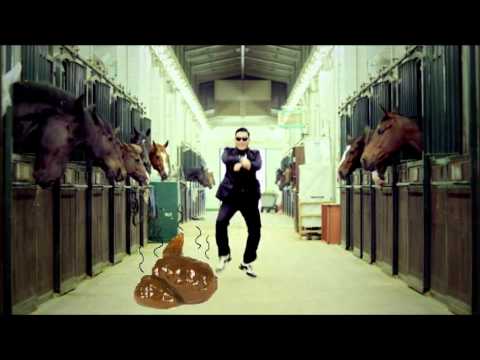 THE VINYLRAIDER  - GANDAM STYLE (MASTER)