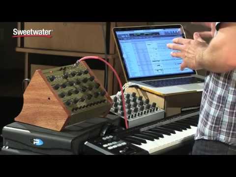 Studio Electronics SE-80 MK I 2015 - Metal/Gold image 6