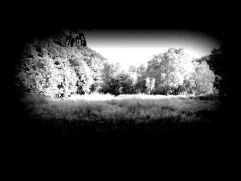 Nebeltod - Hiddentrack 2 (Nebeltod CD)