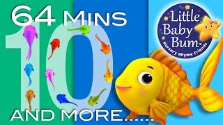 Little Baby Bum | Counting Fish | Nursery Rhymes for Babies | Songs for Kids