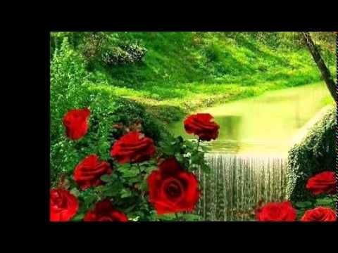 A' CIONCIANELLA - TREBISACCE - ANTONIO DE PAOLA