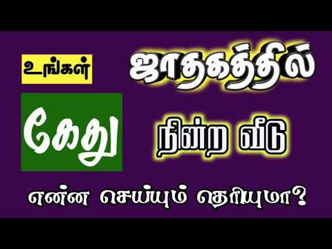 கேது நின்ற வீடு என்ன செய்யும் தெரியுமா?  #kethu #astro #ஜோதிடம் #தமிழ் #horoscope