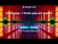 Scallywag - I Know you are scared (DJ Kriek Remix)