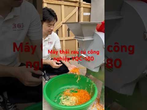 Máy thái rau củ công nghiệp YQC - 180 , thái lát , thái sợi , thái hạt lựu