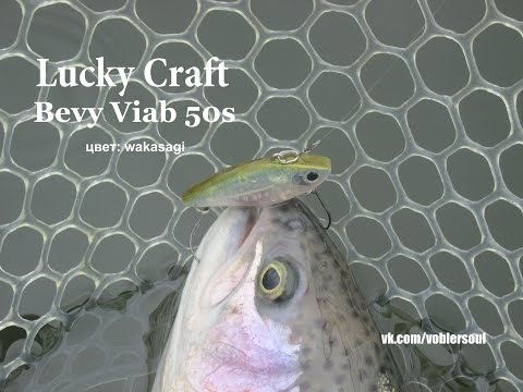 Ловля радужной форели на ратлин. Bevy Viab 50 S от Lucky Craft.