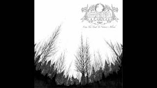 LUX DIVINA - The Mother Nature's Tomb