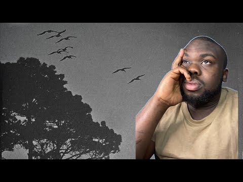 DEEP!!! Cameroonian Reacts to Swedish Music | HAVAL - .357