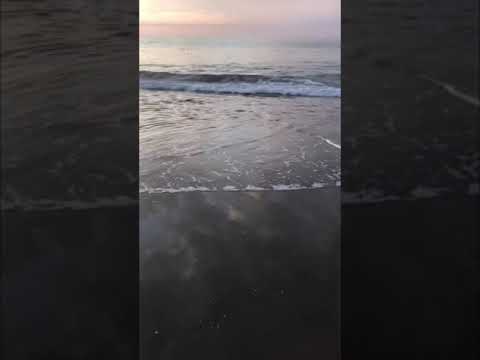 Poem: I wish I want more wishes by Sharina Saad (Naratted by Imanina)