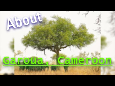 Where is Garoua? Essential Garoua city information.