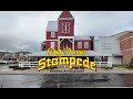 Experience The Spectacular Dolly Parton S Stampede Show In Pigeon Forge