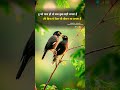Tofa Tofa Pyar Ka Tohfa Tera Hindi Whatsapp Status Video Lipka Hindisong Music Hindipoetry