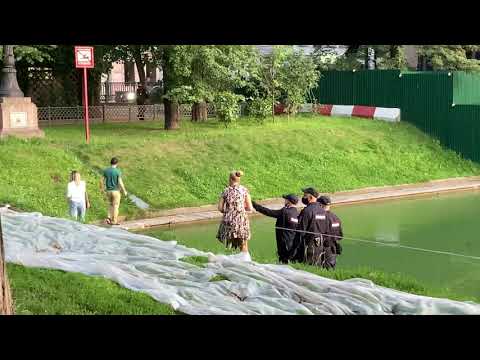 Полицейские 👮‍♂️ прогнали пару с Патриарших прудов 🦢🦆 Белый лебедь и утки подсосы