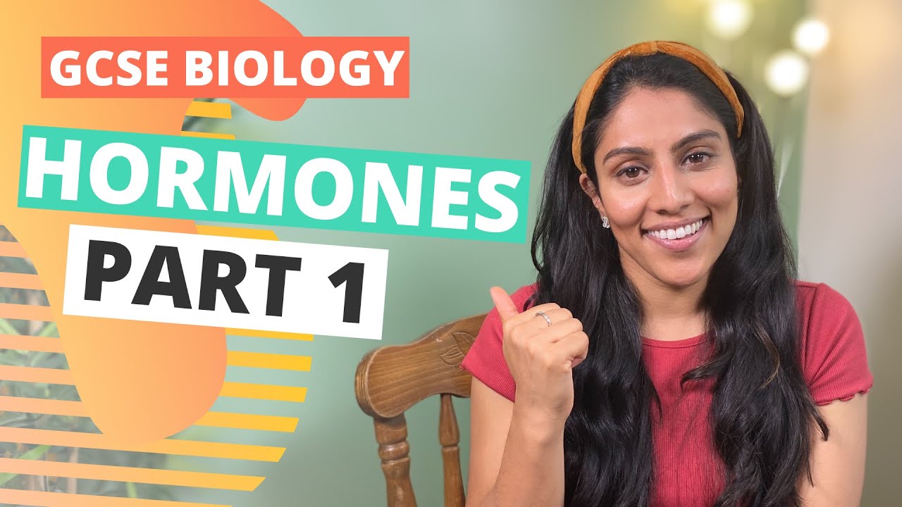 Hormones & the Endocrine System (Part 1) | GCSE/ IGCSE Biology