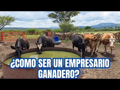 How to Be a Rancher | The Secret to a Successful Ranch | RancheandoAndo