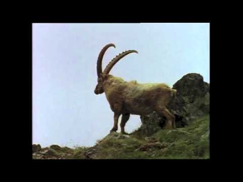 Turia - Zuiverheid (Music Video)