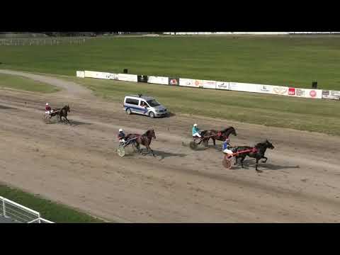 Trka "Finntack" 23.08.2020 Dana S.G. - Miodrag Pantić