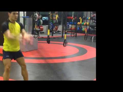 Alternating and Double Ropes Whip