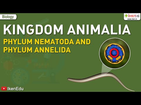 Kingdom Animalia : Phylum Nematoda and Annelida Video Lecture - Class 9 |  Best Video for Class 9