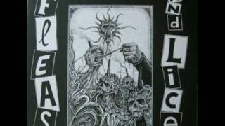 Music video thumbnail preview for FLEAS \u0026 LICE - \ by Fleas and Lice