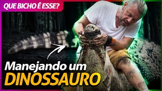 Miniatura do vídeo