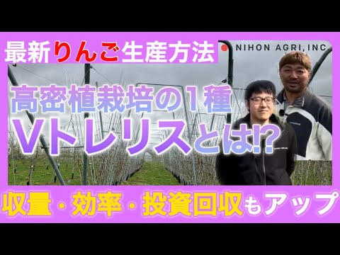 リンゴの収穫: 良い収量を得るための 10 のヒント 植物