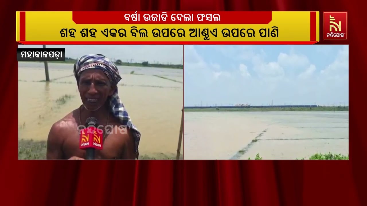 ଲଘୁଚାପଜନିତ ବର୍ଷା ପାଣି ଏବେ ଚାଷୀ କୁଳ ର ଚିନ୍ତା ବଢାଇ ଦେଇ?