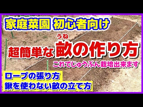 2022年に市内で菜園に利用可能なスペース