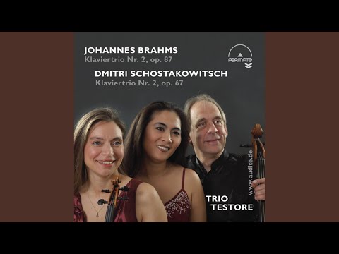 Piano Trio No. 2 in E minor, Op. 67: I. Andante