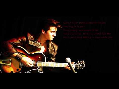 Can't help falling in love with you - Elvis Presley (Robert Cristea cover)