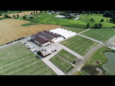 Snails-Pol Towarowa Hodowla Ślimaków Jadalnych