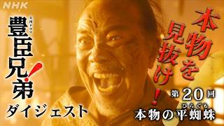 【大河ドラマ 豊臣兄弟！】第20回ダイジェスト「本物の平蜘蛛」| NHK