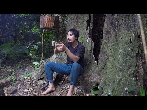 Choose The Best Place To Shelter - Hunger, Cold, Give Up The Survival Challenge| Sumatra's Instincts