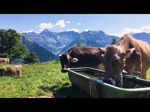 Braunwald, Switzerland 2018 [4K]