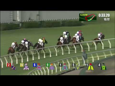 2022 05 18 快活谷 第三場 電訊犇豹 巴度