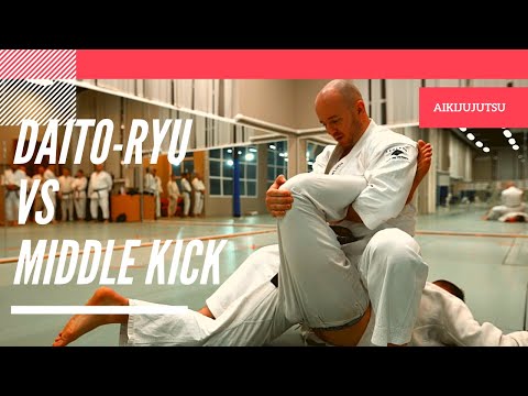 Daito-ryu techniques against middle kick