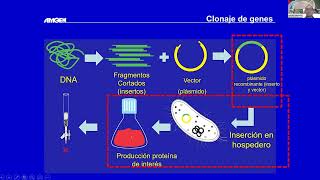 7 Transformación Bacteriana