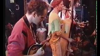 Patent Ochsner live - Fischer