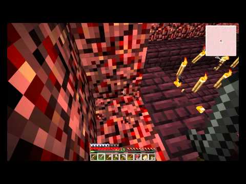 Spotter's Guide S3E5 - Netherventure!