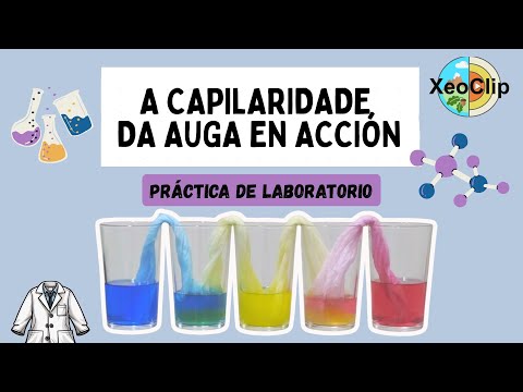 Vídeo: A capilaridade en acción. O movemento da auga por materiais porosos
