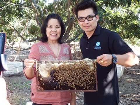 ซื้อ Exciter สำหรับผู้หญิงใน Samara ยาแรงอย่างรุนแรง